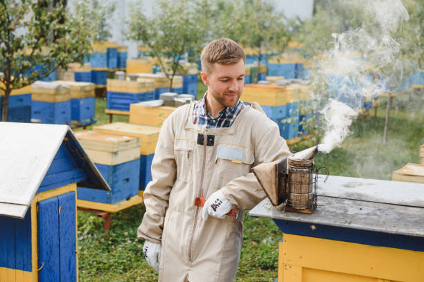 bee protection suits