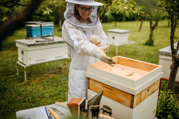 best ventilated bee suit