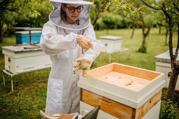 full bee suit