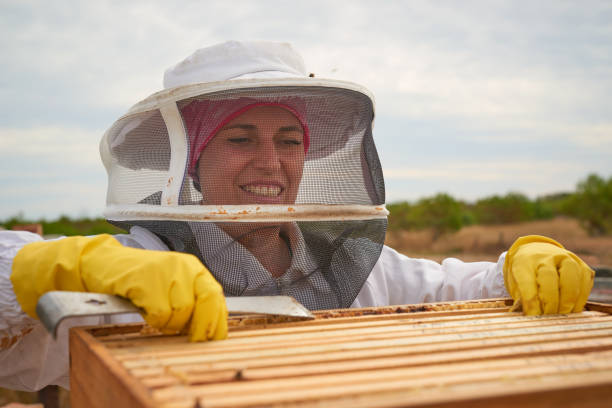 bee suit veil