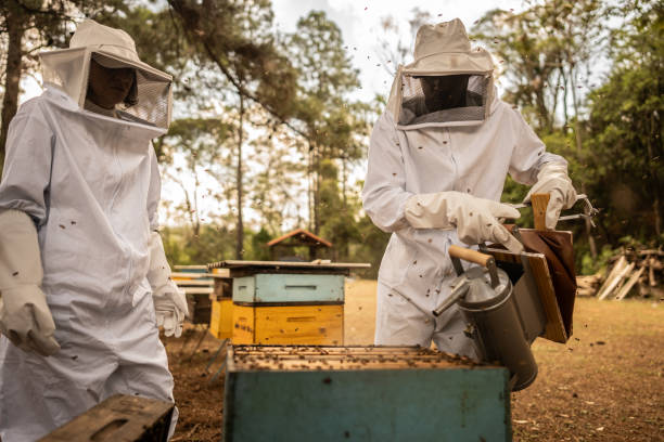 3 layer bee suit